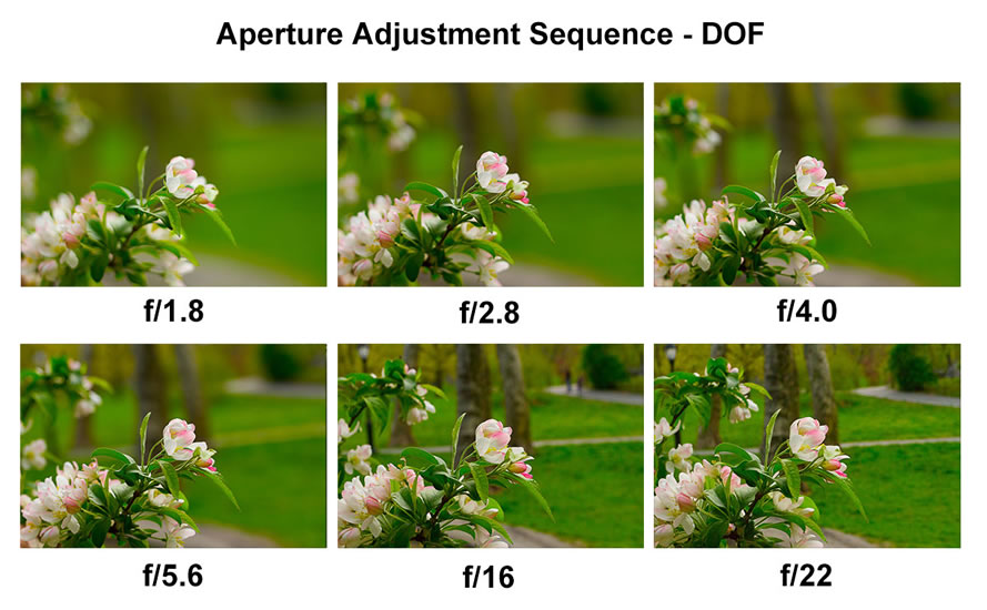 Memahami Aperture dan Depth of Field Pada Fotografi