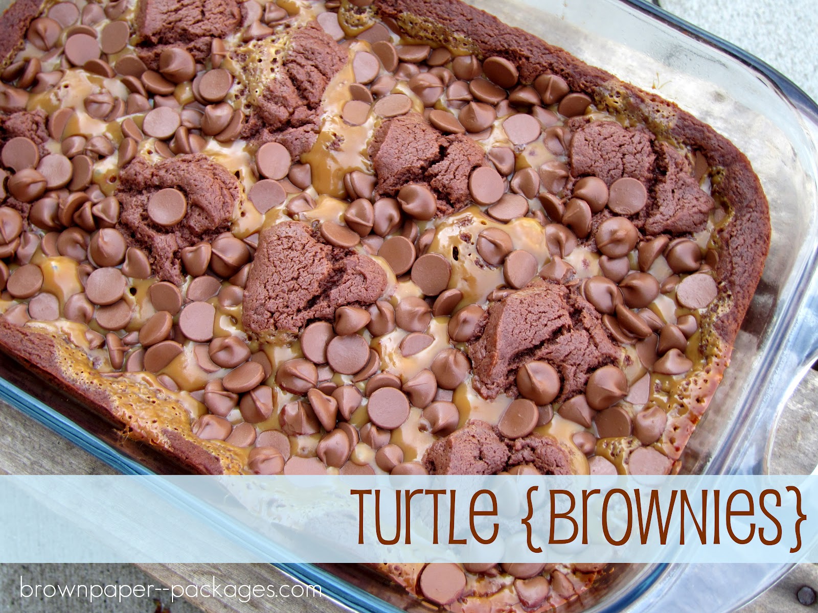 Turtle Brownies