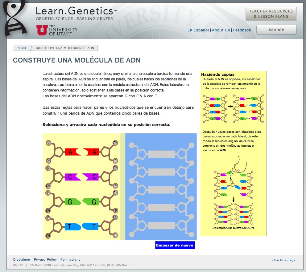 CIENCIAS DEL MUNDO CONTEMPORÁNEO ¿Te atreves a construir ADN?