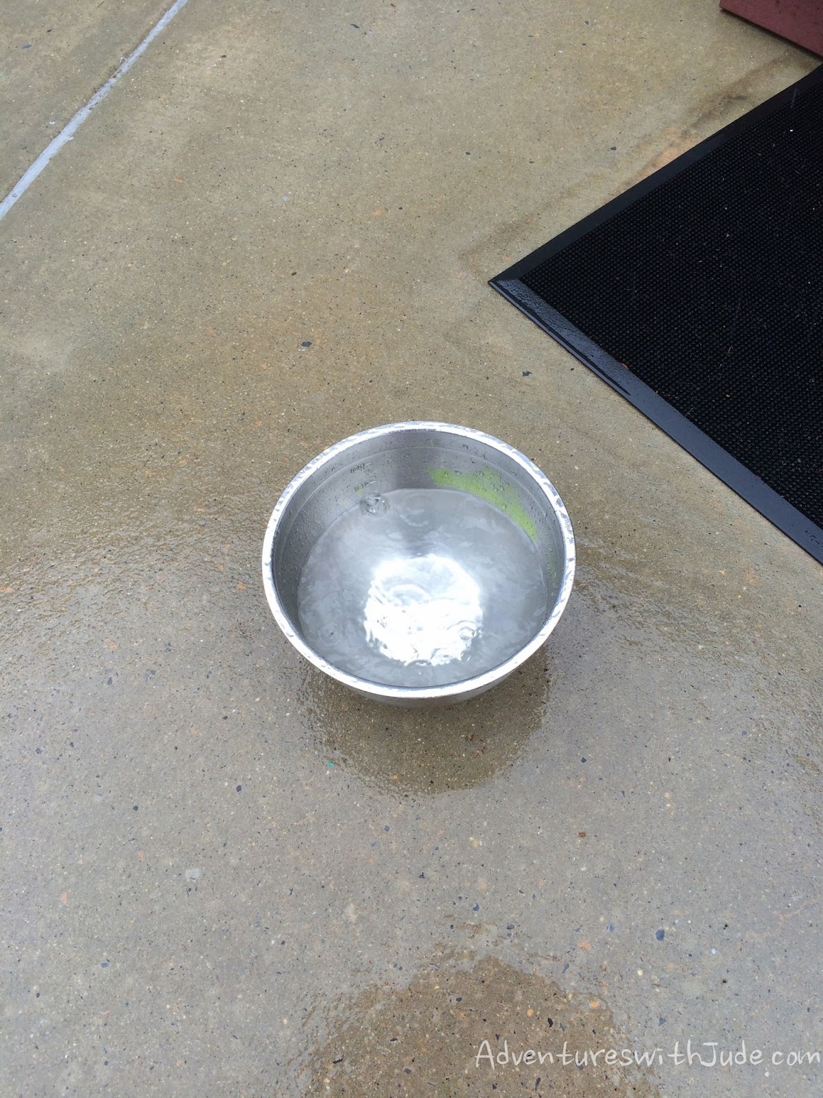 Adventures with Jude Will It Sink or Float?