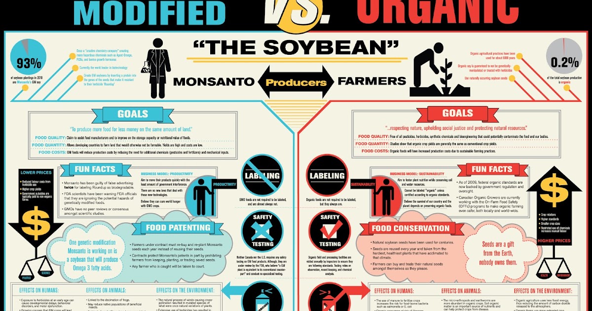 The Soybean GMO vs. Organic [infographic]