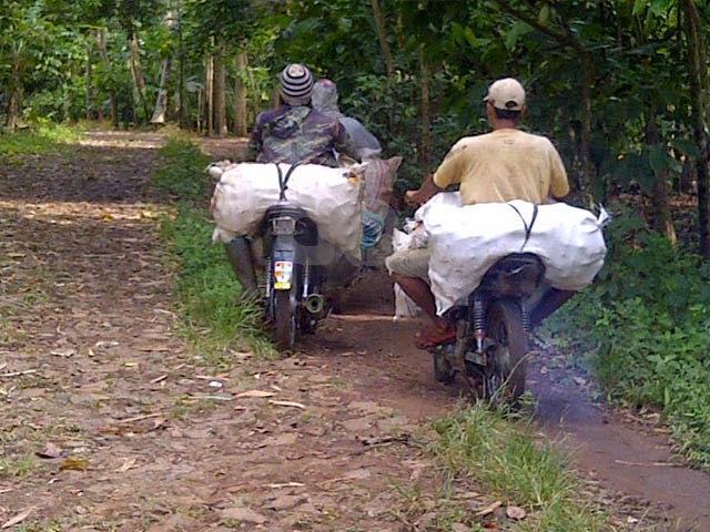 Perjuangan Para Tukang Ojek Jagung Cendana News