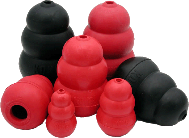 kong toys