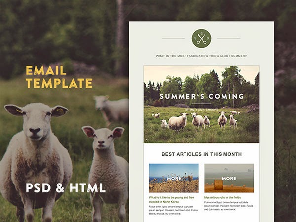 free email template, hipster email template, woodsy email template, co-op email template, health food store email template, 