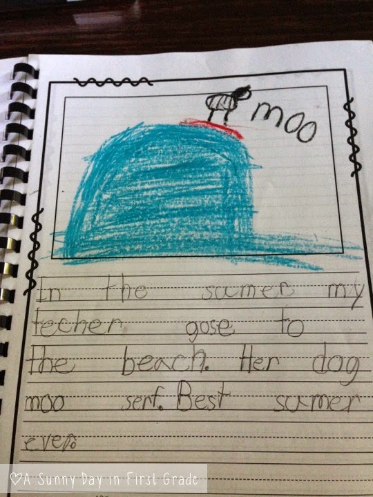 Essay on sunny day for class 7 picture