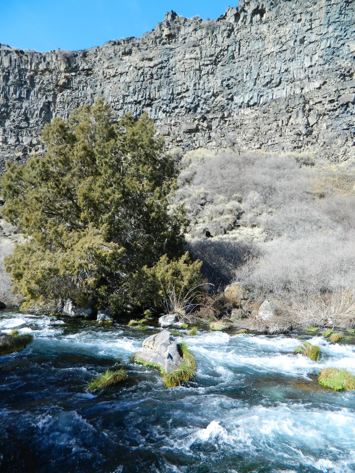 Living in Idaho Box Canyon Springs in February