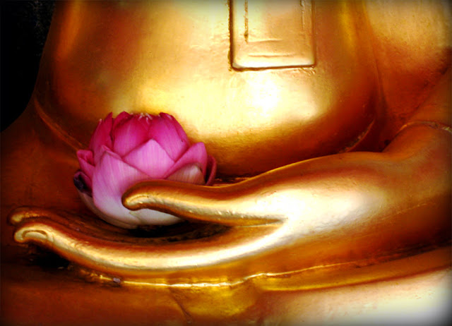 Buda y flor de loto