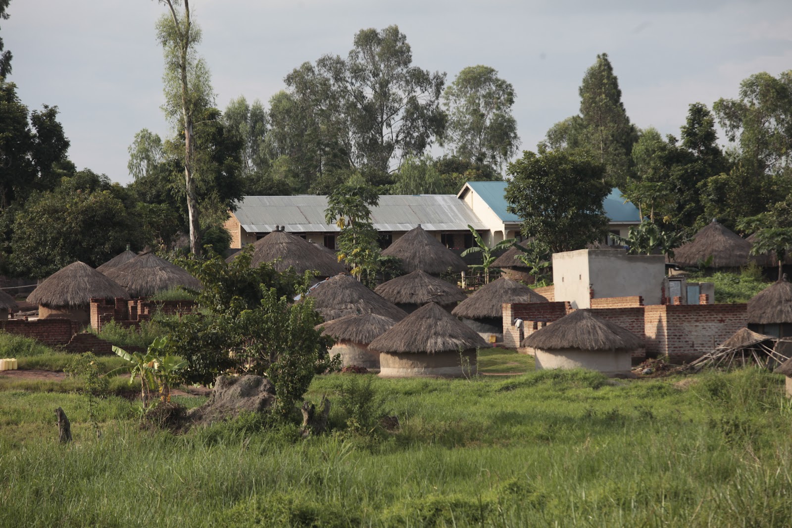 Heifer's Work in Northern Uganda Continues