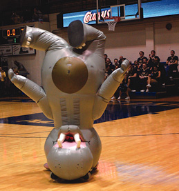 gw mascot