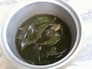 how to prepare guyabano tea leaves