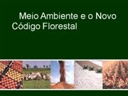 MEIO AMBIENTE E O NOVO CÓDIGO FLORESTAL