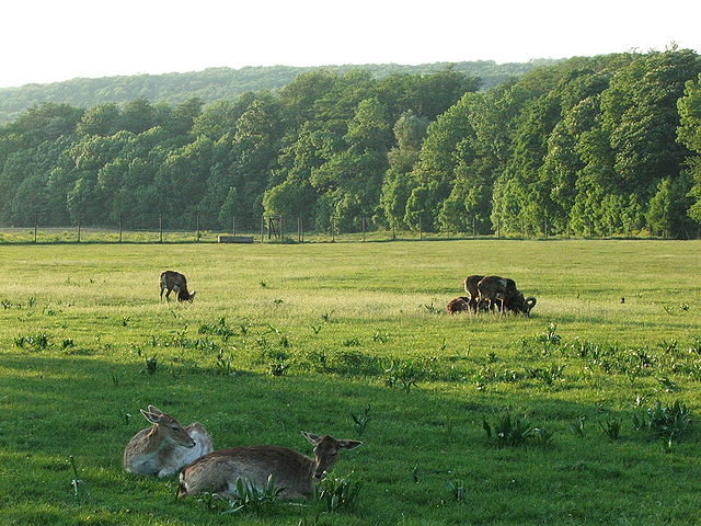 peta wisata di wina austria wisata di austria