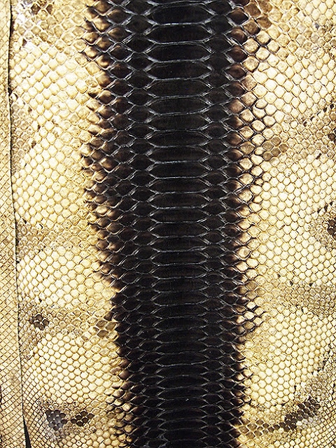 reptile leather