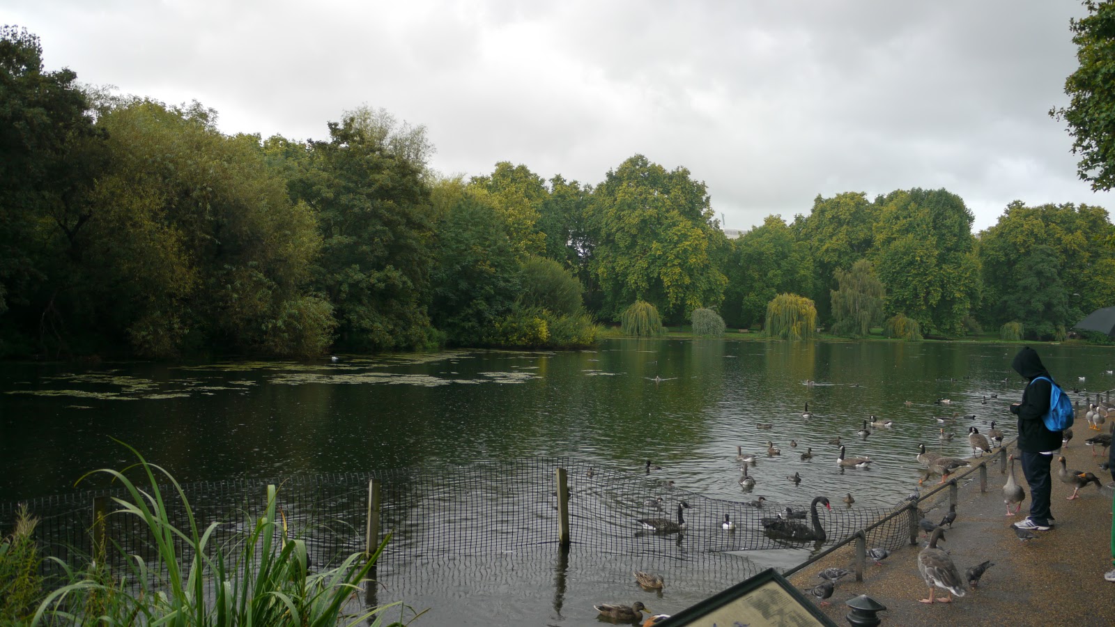 St James Park London Britain All Over Travel Guide