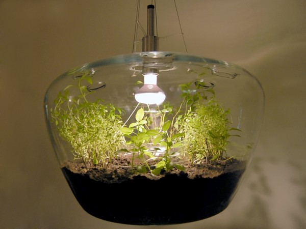 Glass Greenhouse Lamp by