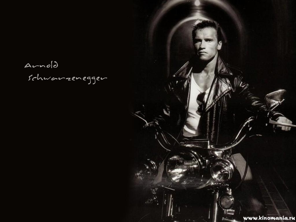 http://3.bp.blogspot.com/-ONlOerMt7nk/UDe5nlf43oI/AAAAAAAADMo/r49gZsxgZv4/s1600/Arnold-Schwarenegger-Wallpaper-arnold-schwarzenegger-28805162-1024-768.jpg