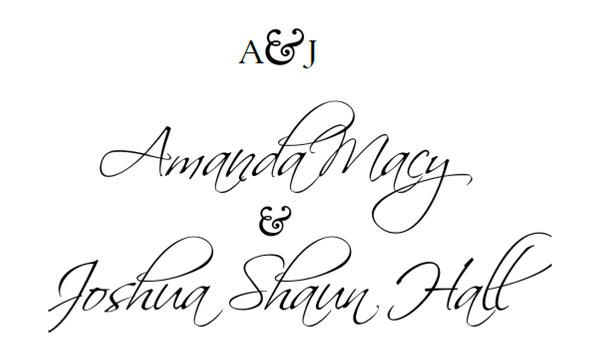 our wedding. amanda macy & josh