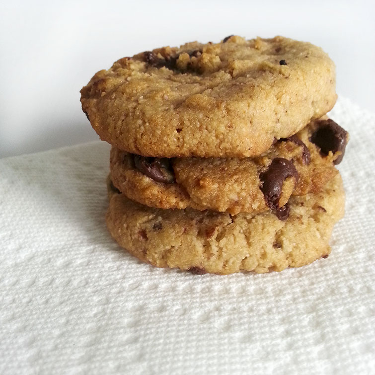 Gluten-Free-Chocolate-Chip-Cookie-Recipe Gluten Free Chocolate Chip Cookies by Isn't that Sew (Elana's Pantry Recipe)