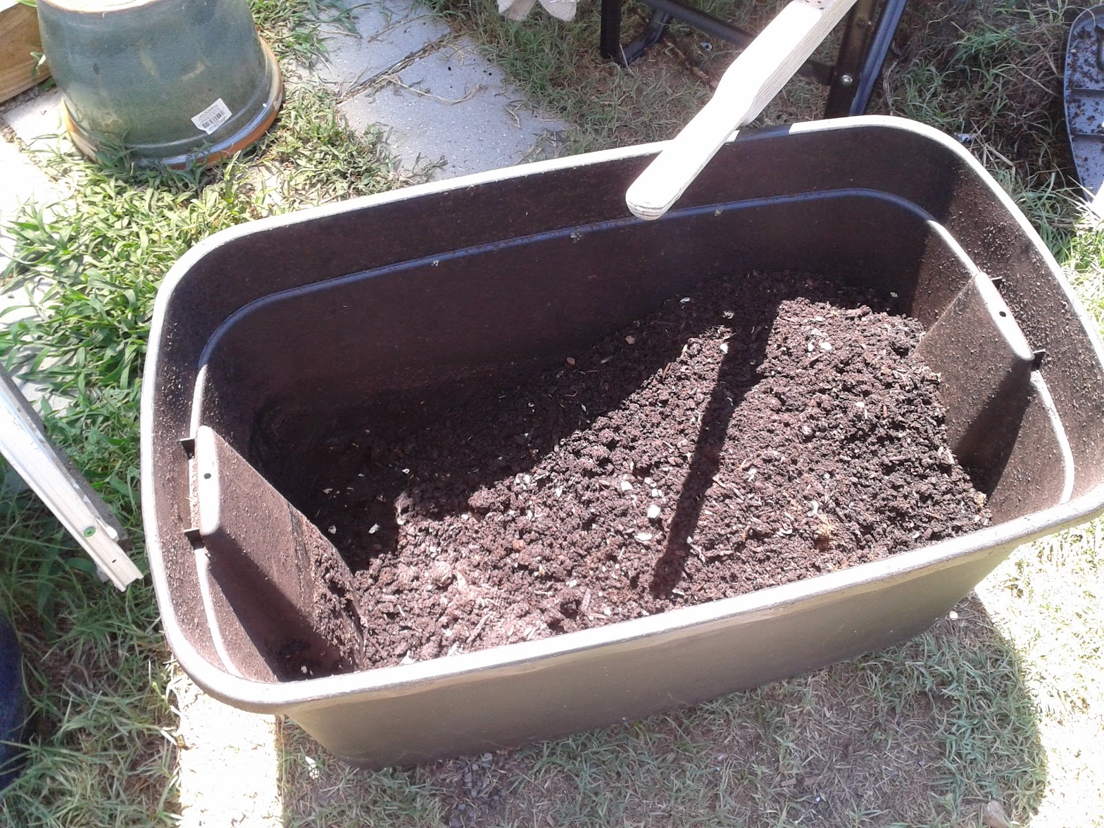 The Aquaponics Gardener Red Wiggler Worm Harvesting