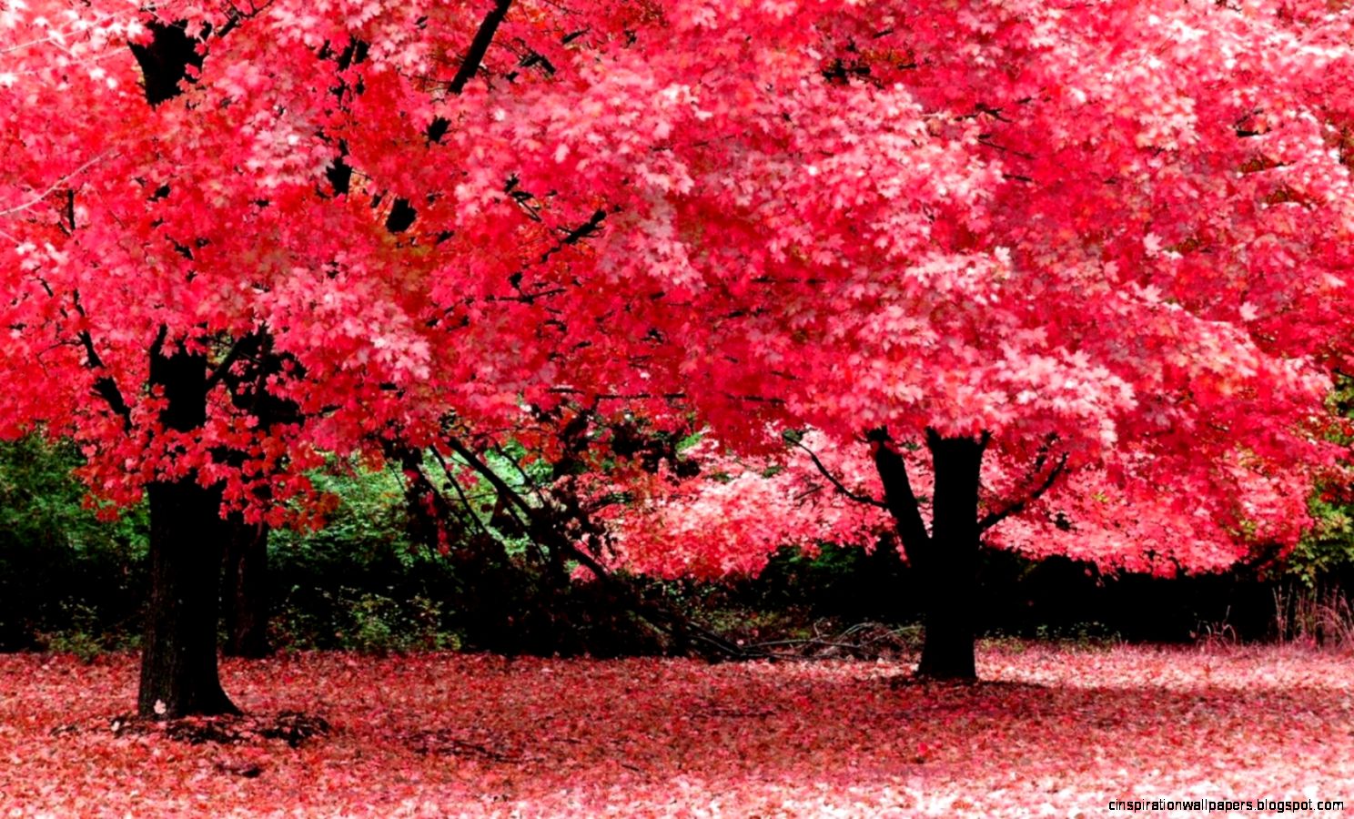 Nature Wallpapers For Desktop Background Full Screen Best HD Nature Wallpapers For Desktop Background Full Screen Best HD