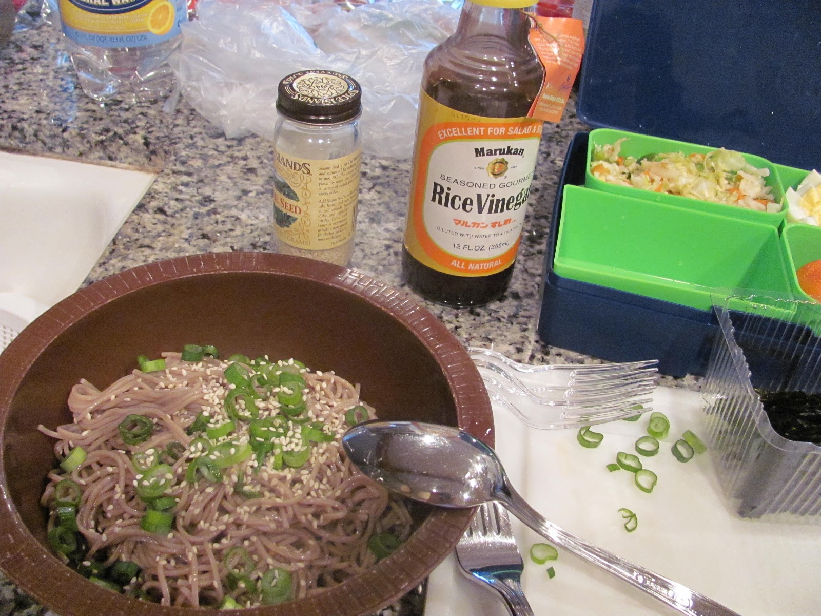 Soba Noodle Bento Lunch