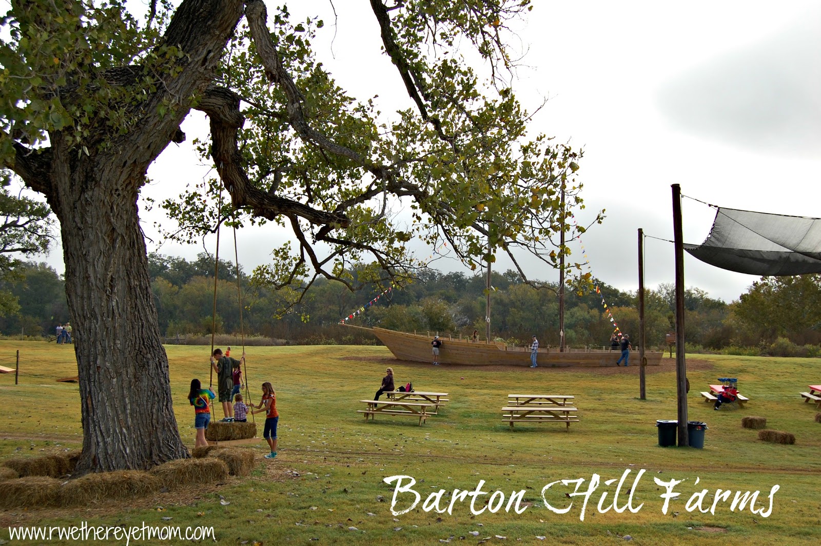 Barton Hill Farms Austin, TX R We There Yet Mom?