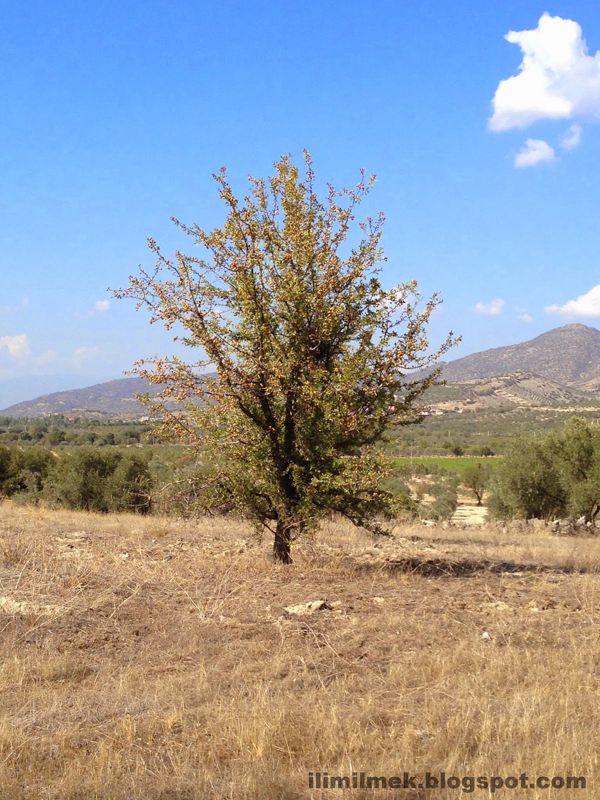 Wohnen In Einer Stadt Oase In Ausgezeichneter Lage Und