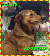 LALITA ADOPTADA!!!!