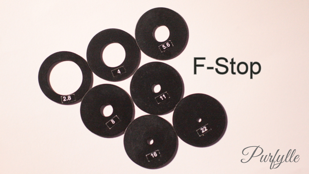 Where to Start With a DSLR Camera