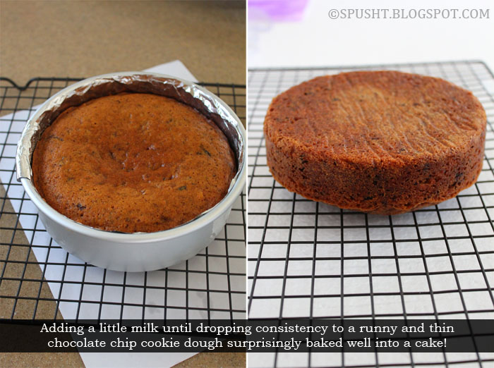 Spusht failed attempt chocolate chip cookie batter what to do?