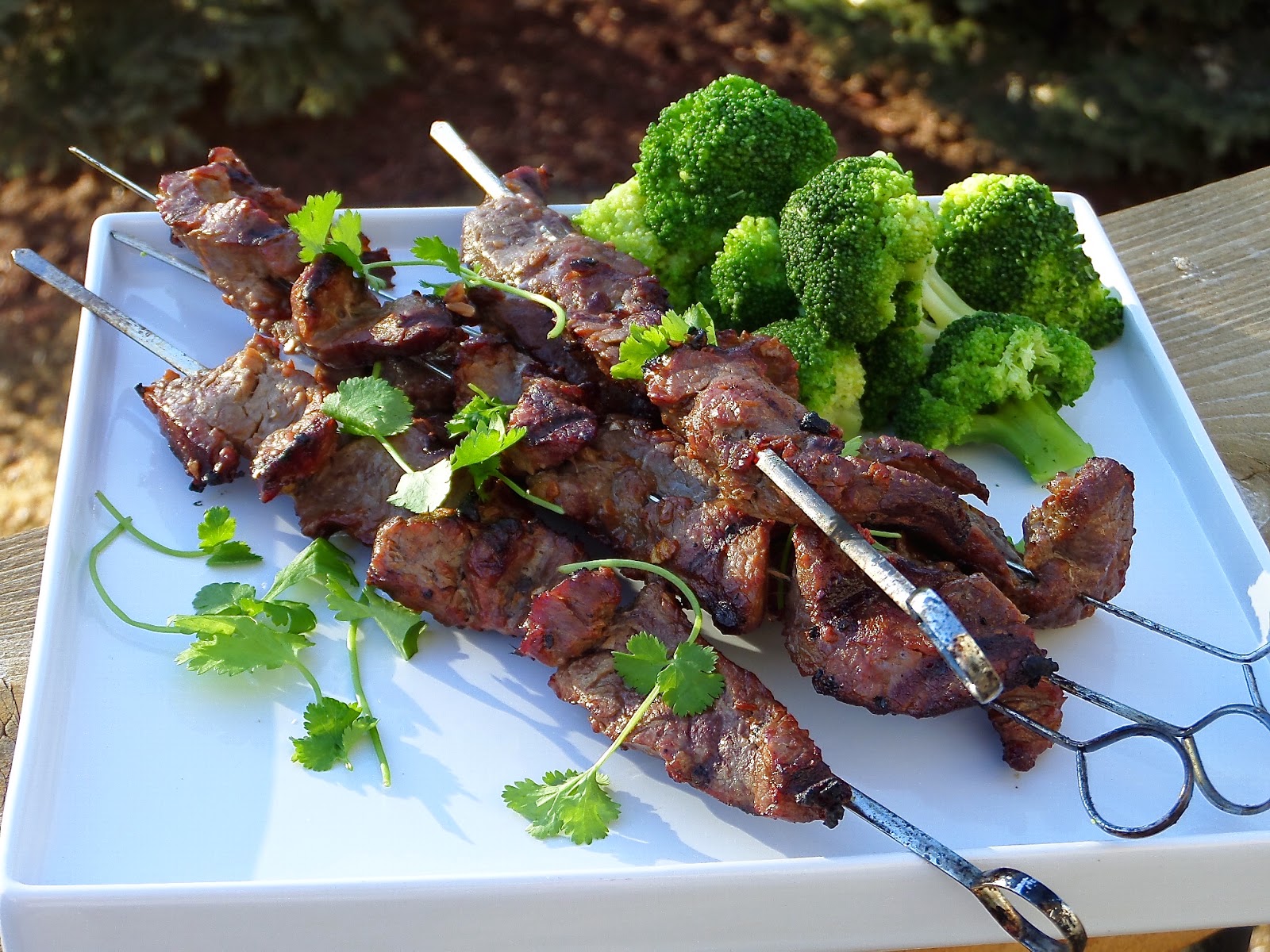Becki Melvie Beef Yakitori {Paleo, GlutenFree, Quick & Easy Dinner}