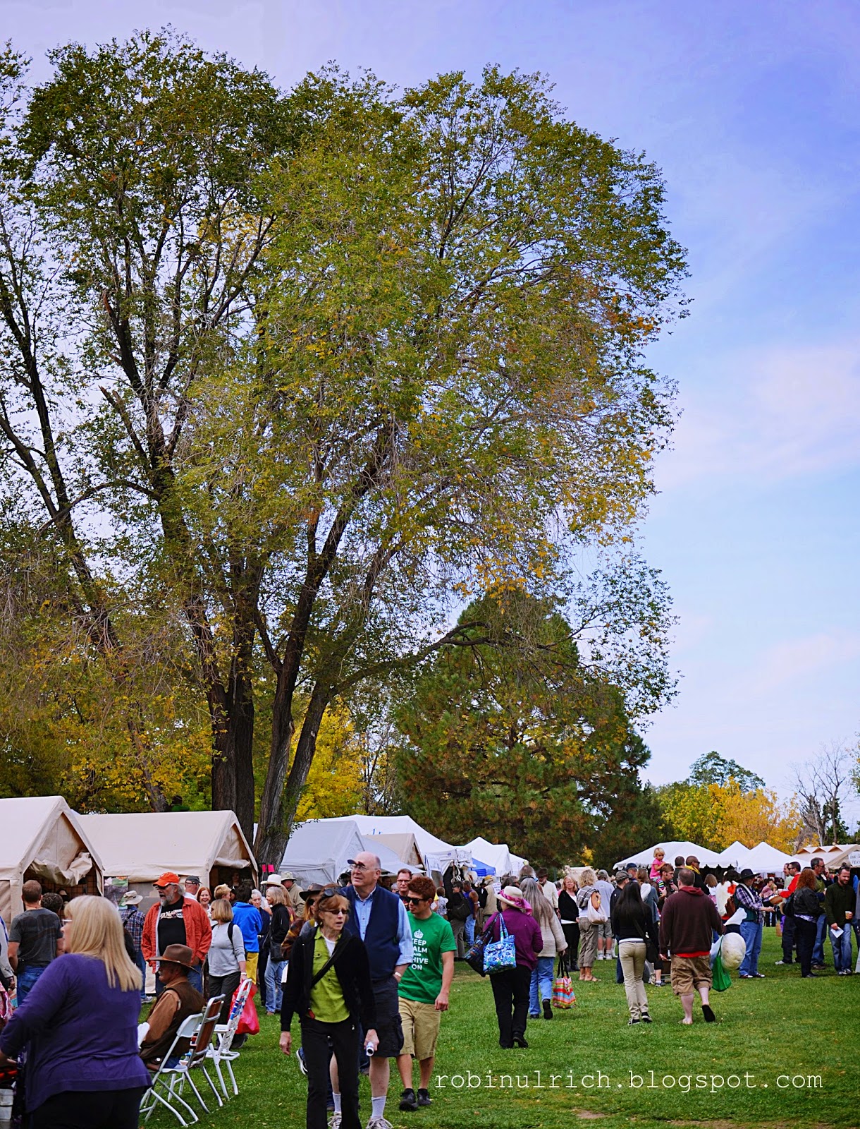 Robin Ulrich Studio EnchantingTaos Part I, the Wool Festival