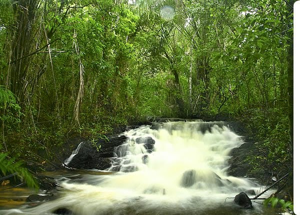 RESERVA DA SAPIRANGA