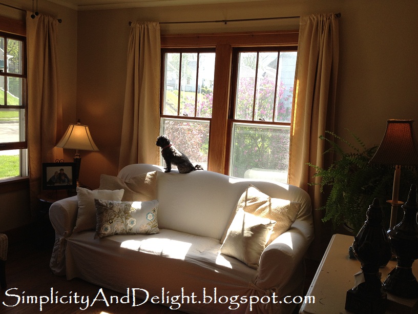 Simplicity And Delight To Paint Trim Or Not That Is Simplicity And Delight To Paint Trim Or Not That Is The Question