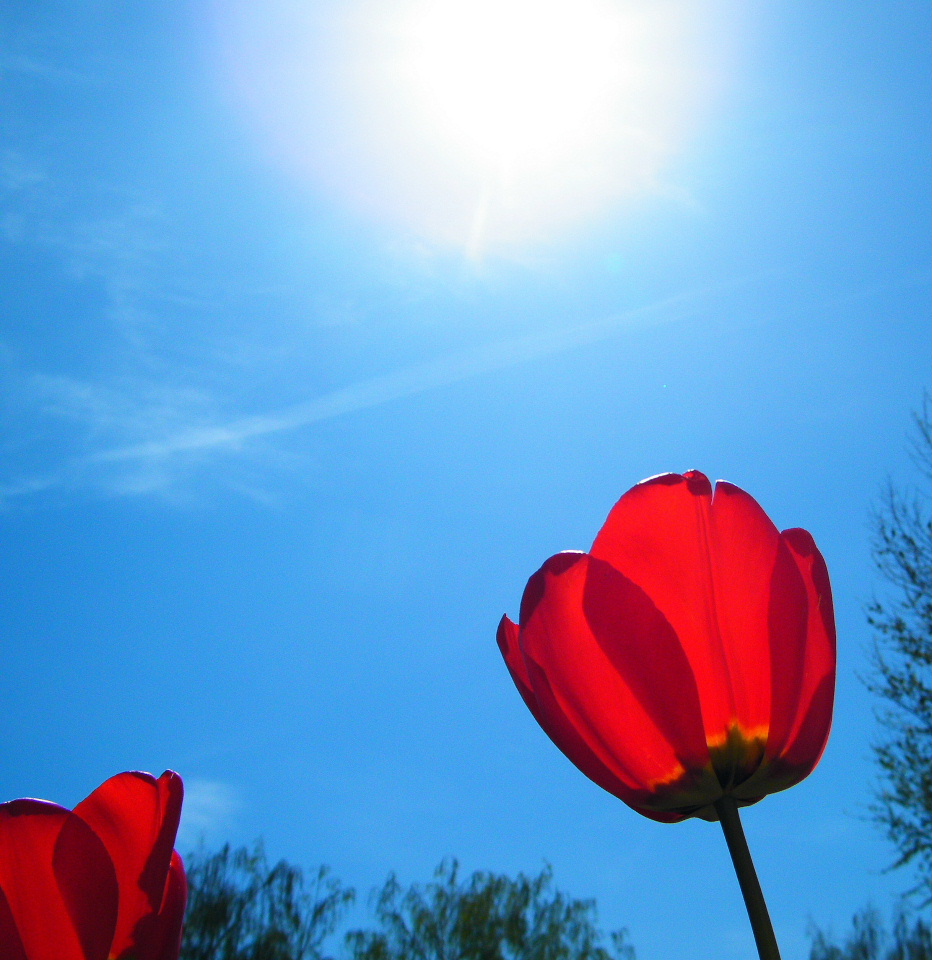 Bright Shiny Day