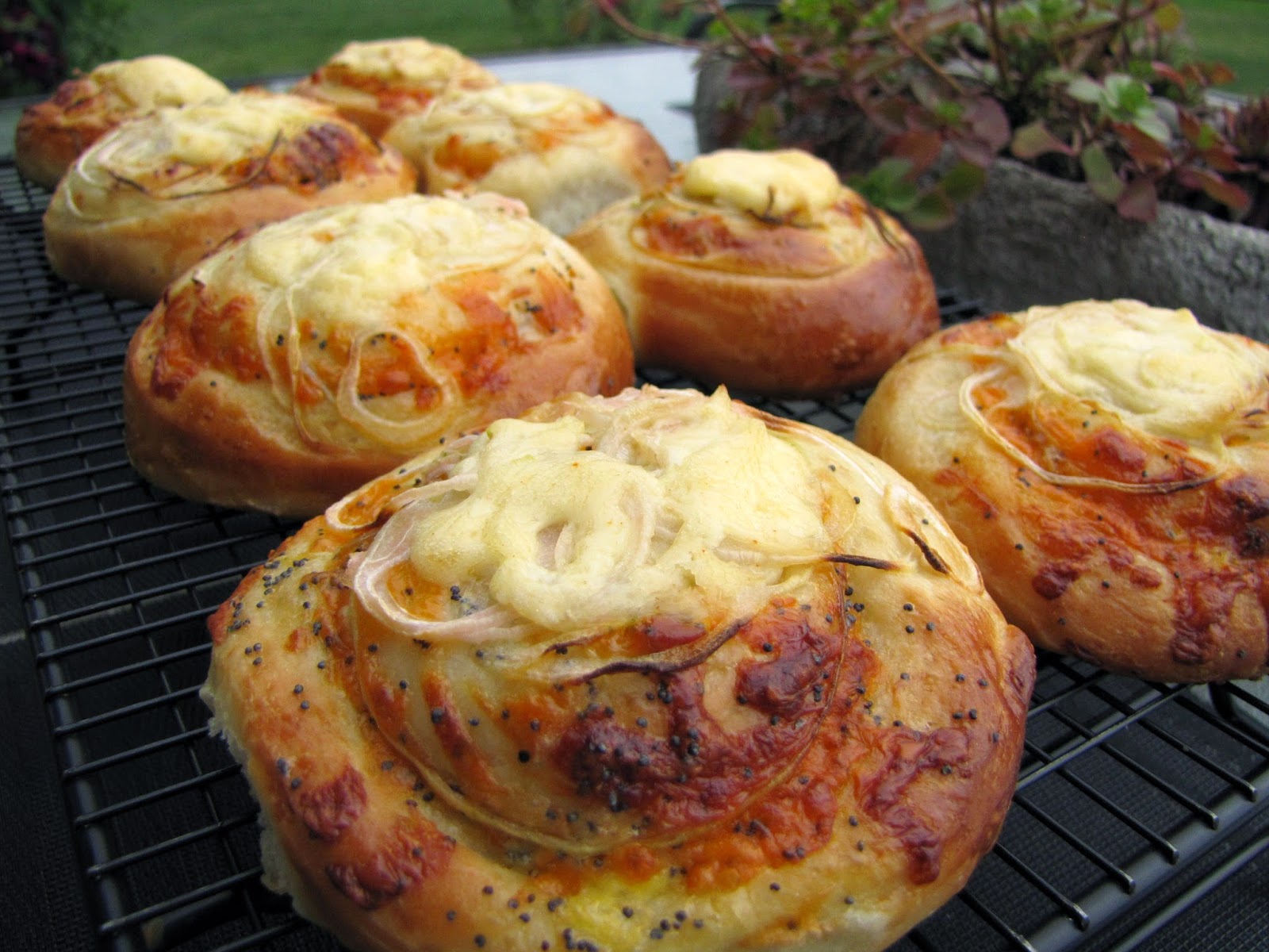 Mennonite Girls Can Cook Cheesy Onion Rolls