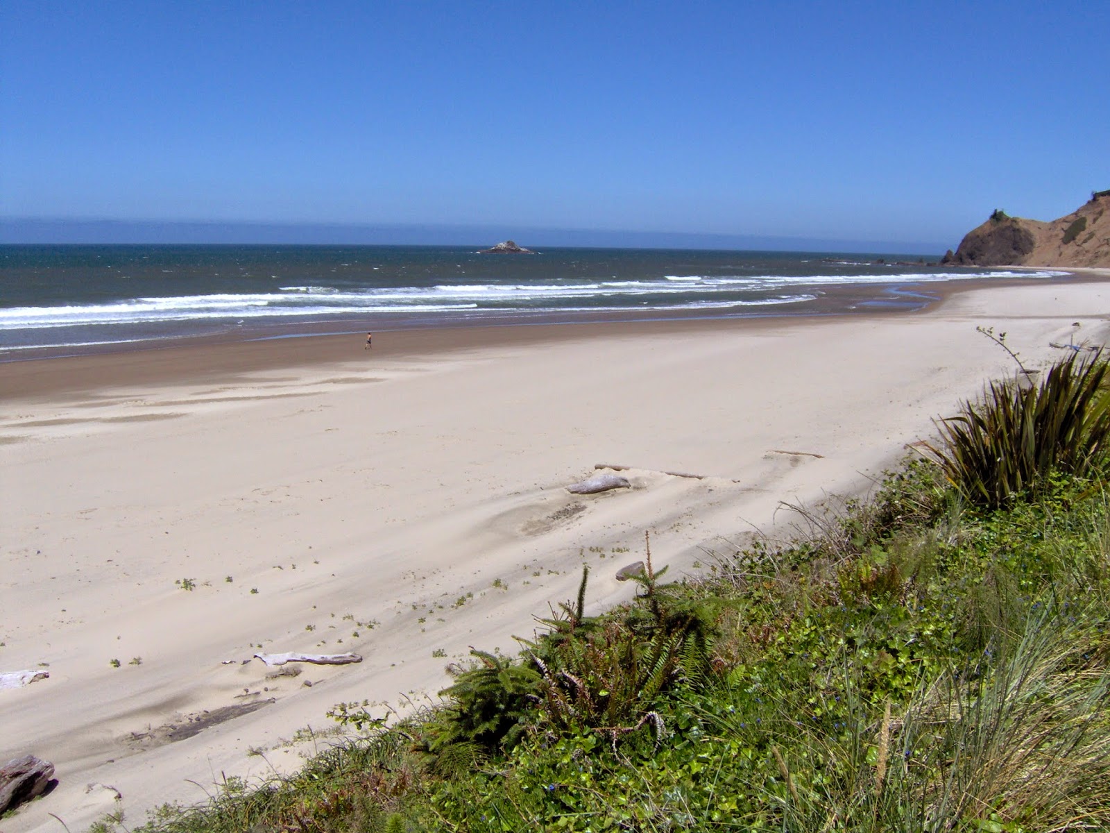 Enjoy the Beautiful City of Lincoln City This Summer! Home & Condo