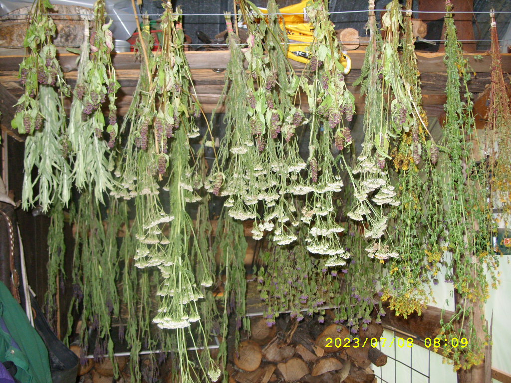 Forest House Farm Herbal Medicine