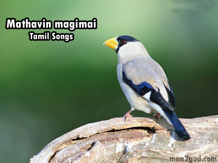 Free Download Jesus Songs Tamil Mp3 Downloads