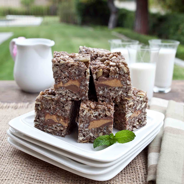 FOODjimoto Chocolate Energy Bars