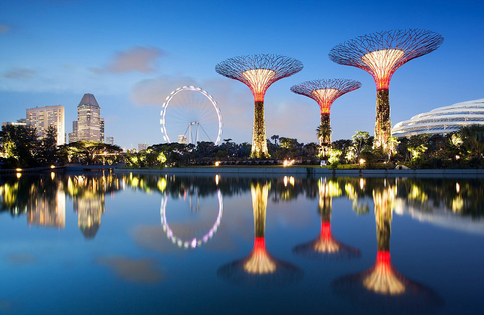 mxdesignstudio Supertrees Singapore