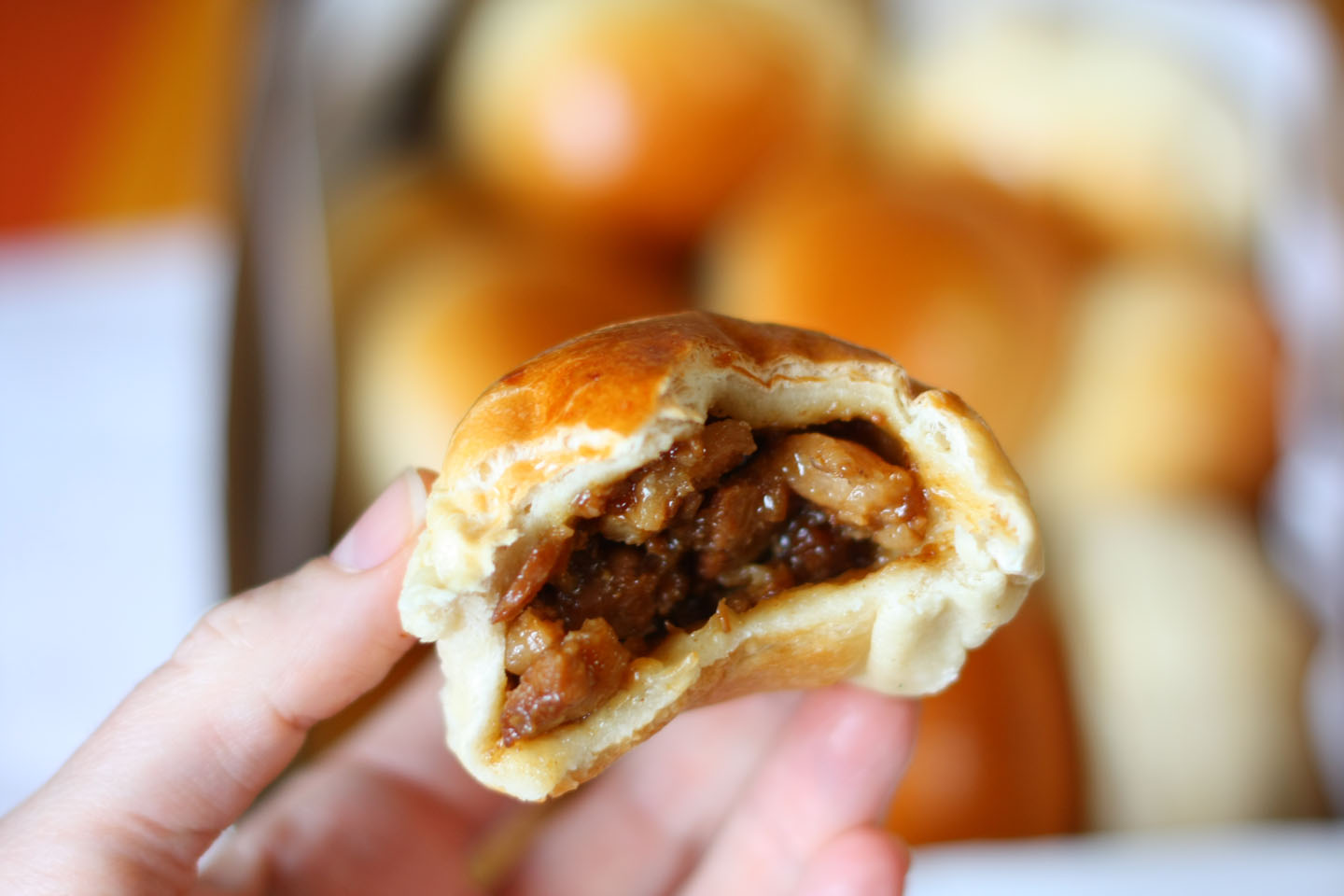 66 Square Feet (Plus) Pork buns!