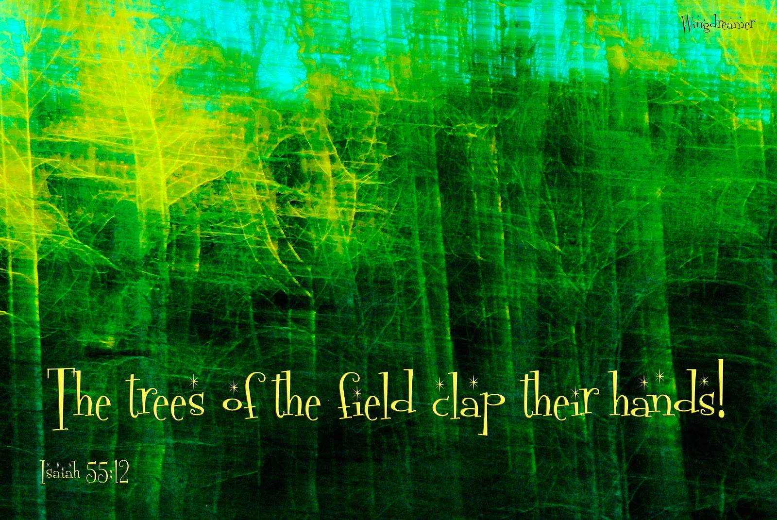 Wingdreamer Learns to Fly