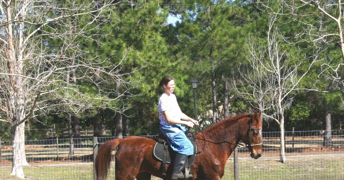 Florida Hobby Farm for Sale Rest & Recreation