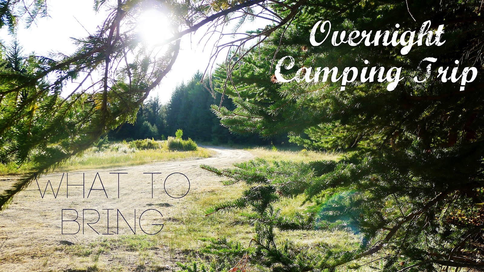 Overnight Camping Trip What to Bring