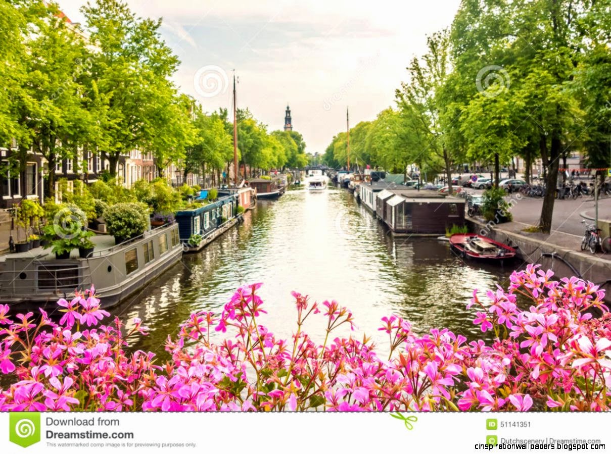 Blooming Pink Flowers On An Amsterdam C Bridge Stock Photo Blooming Pink Flowers On An Amsterdam C Bridge Stock Photo