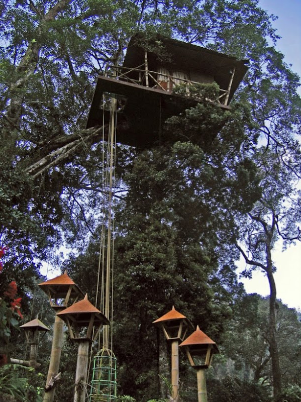 Rumah Pohon Green Magic Treehouse