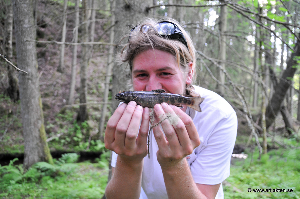 träffas efter nätdejting