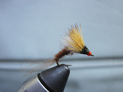 Fly of The Month: August 2011