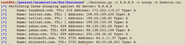 ماهو DNS cache snooping وما هو دوره  Wpid-PastedGraphic2-2013-02-13-17-33+%281%29